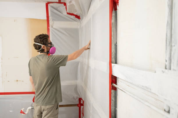 Best Basement Mold Removal  in Cockrell Hill, TX