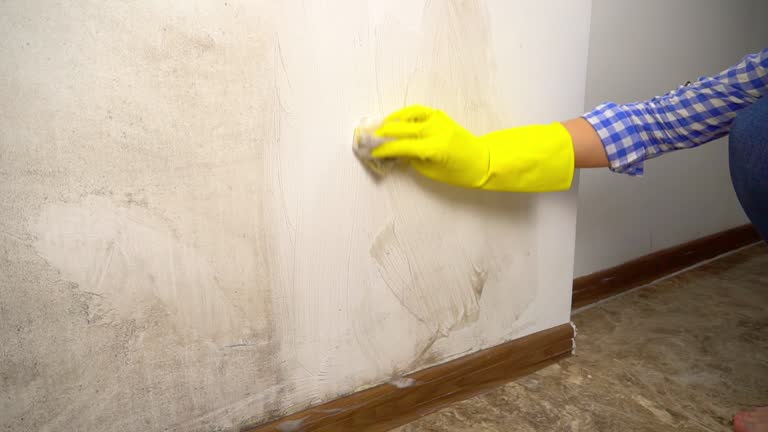 Mold Remediation for Rental Properties in Cockrell Hill, TX